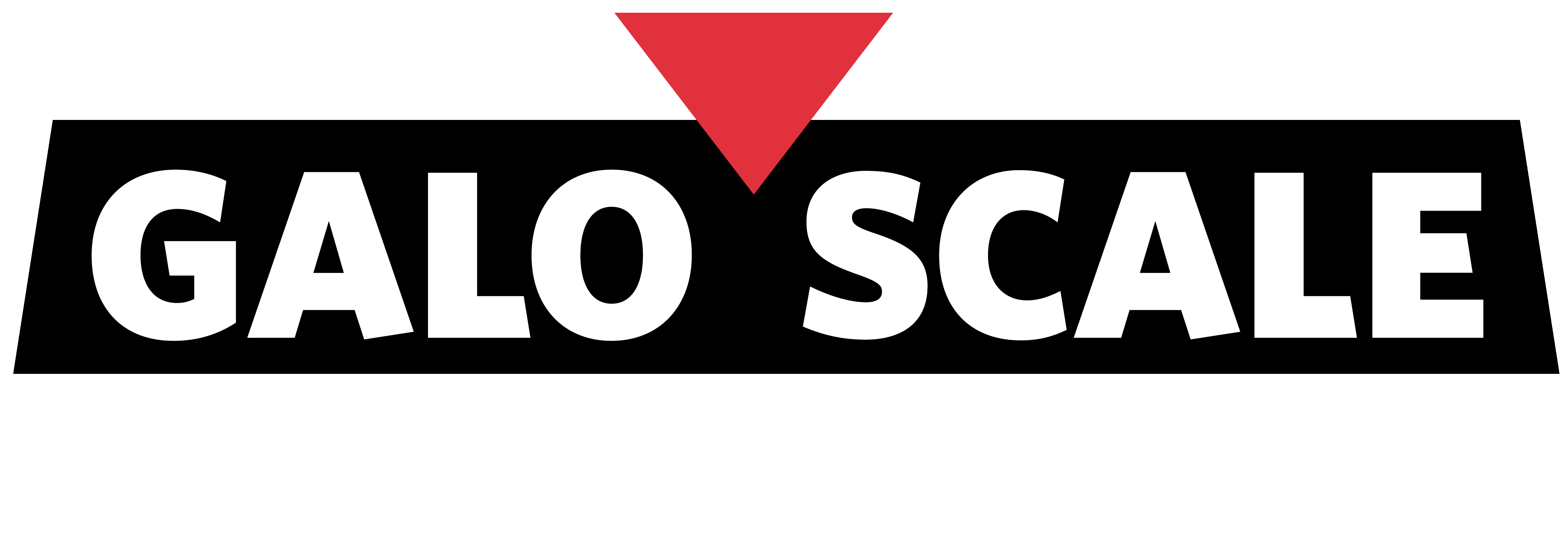 Galo Scale Logo